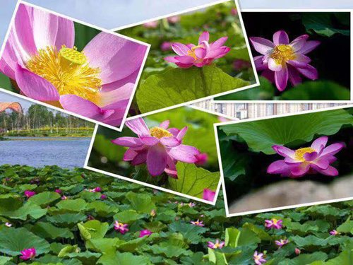 海洋之神·hy590(中国)最新官方网站