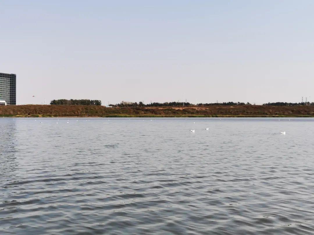 海洋之神·hy590(中国)最新官方网站